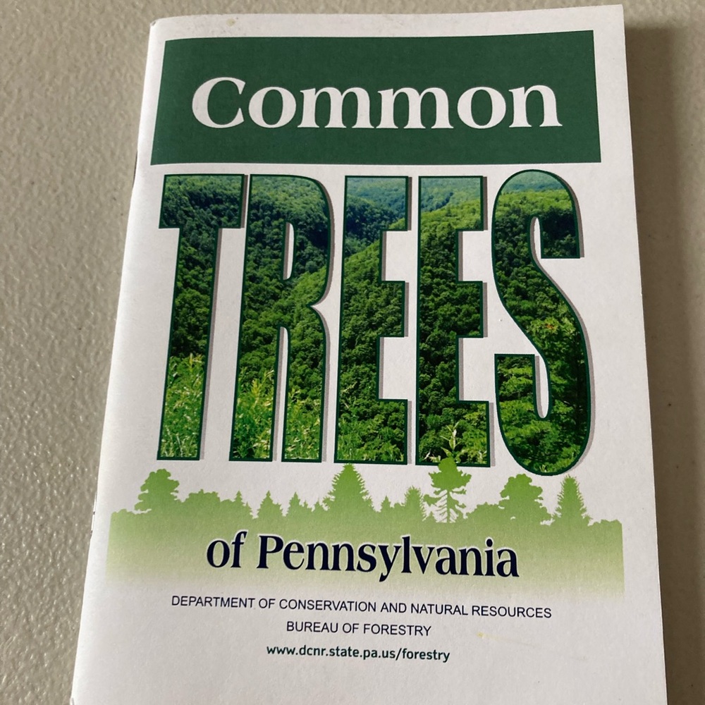 Common Trees of Pennsylvania Information Guide Paperback Book 70 Pages
